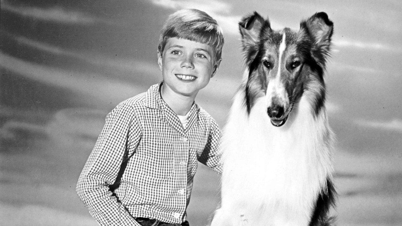 Lassie backdrop