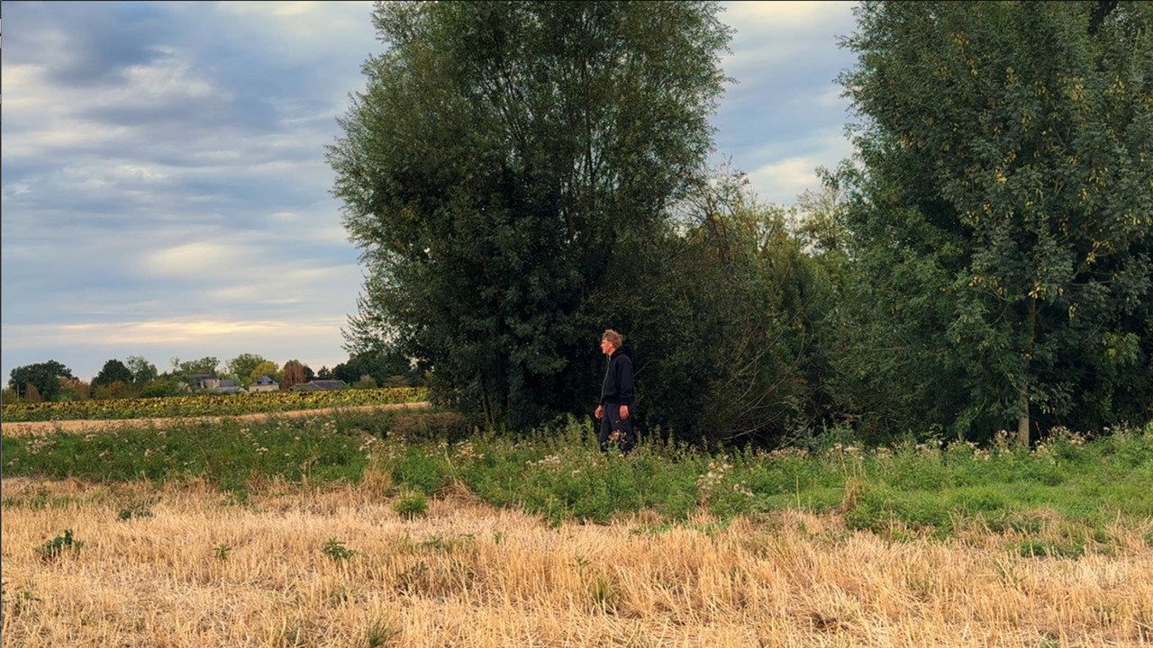 Le bruit des souvenirs backdrop