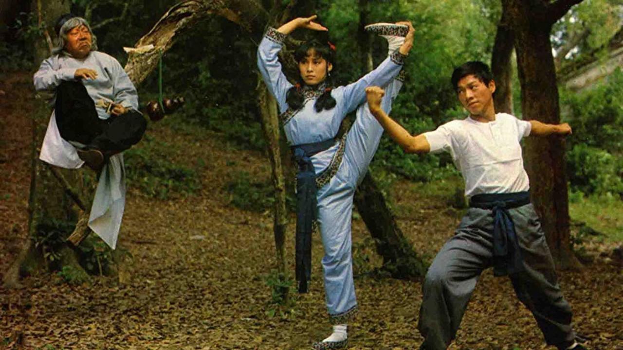 The Story of the Drunken Master backdrop