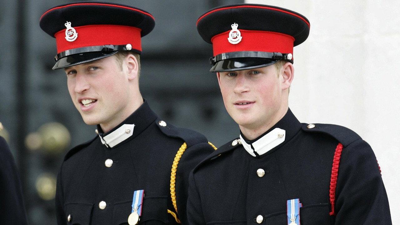 William et Harry, une saga royale backdrop