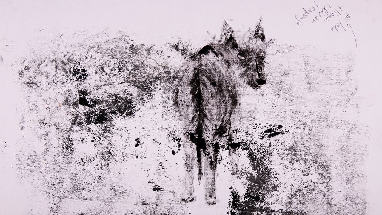 decay backdrop