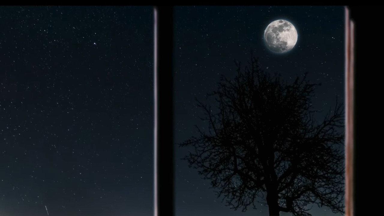 Moon Town backdrop