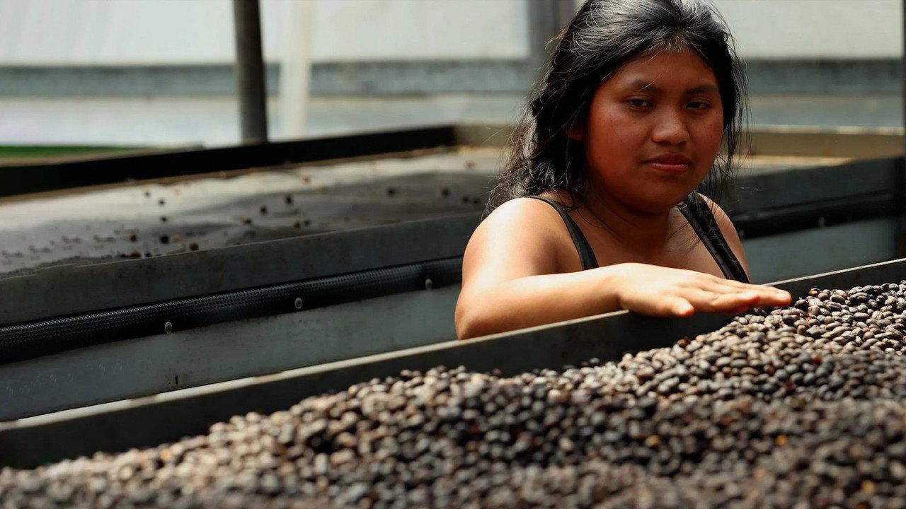 Les maîtres du café backdrop