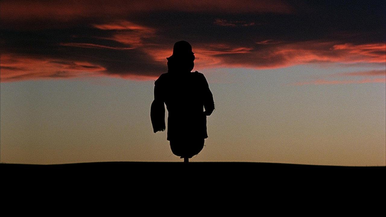 Days of Heaven backdrop