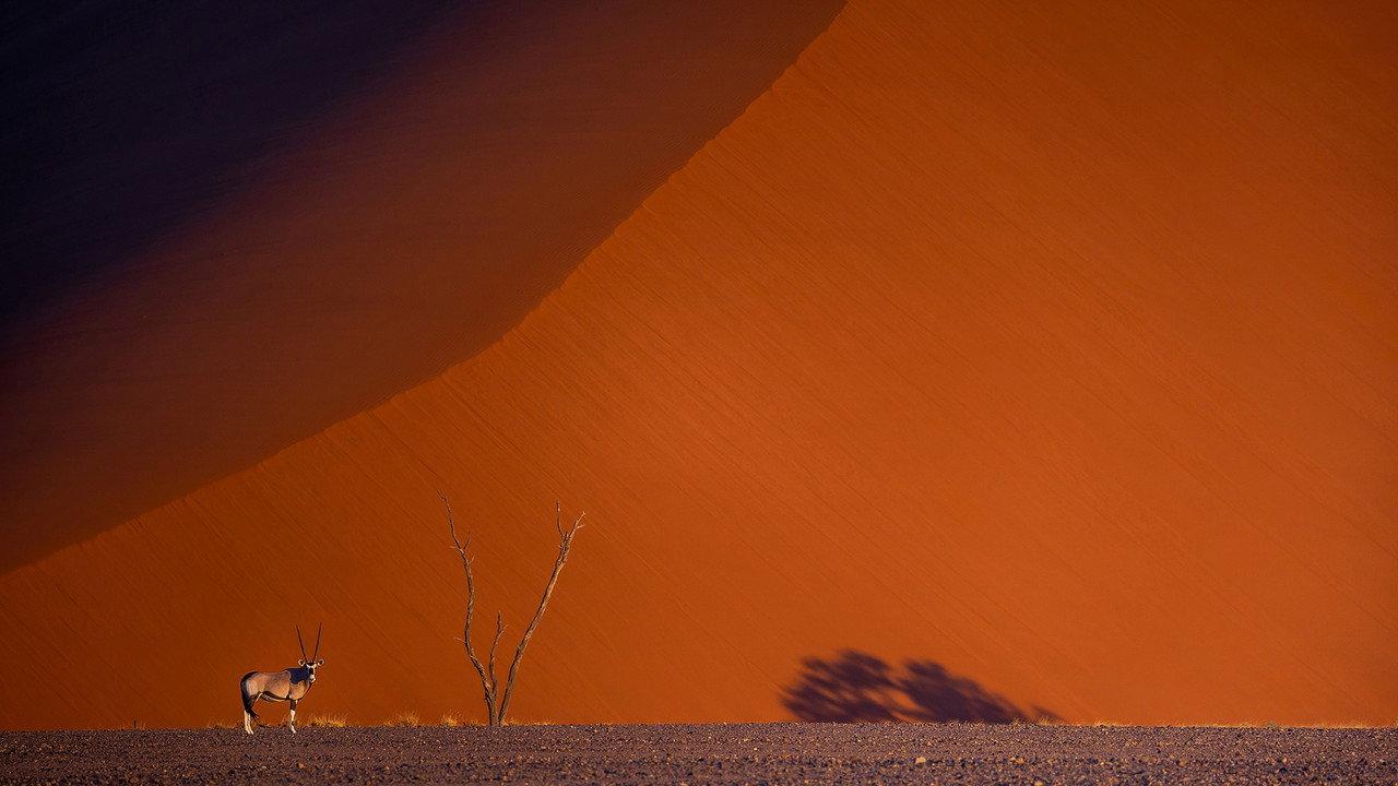 Namibie : exceptionnelle par nature backdrop