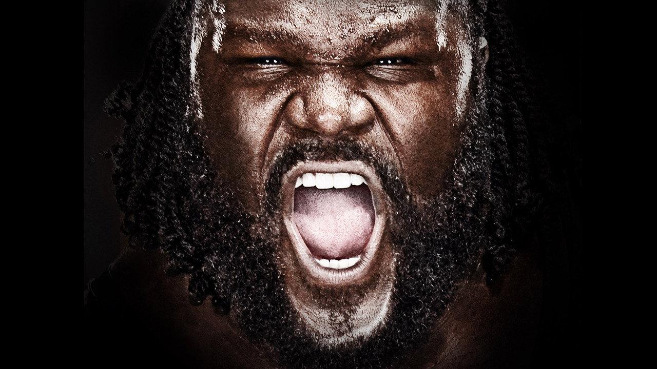WWE Vengeance 2011 backdrop