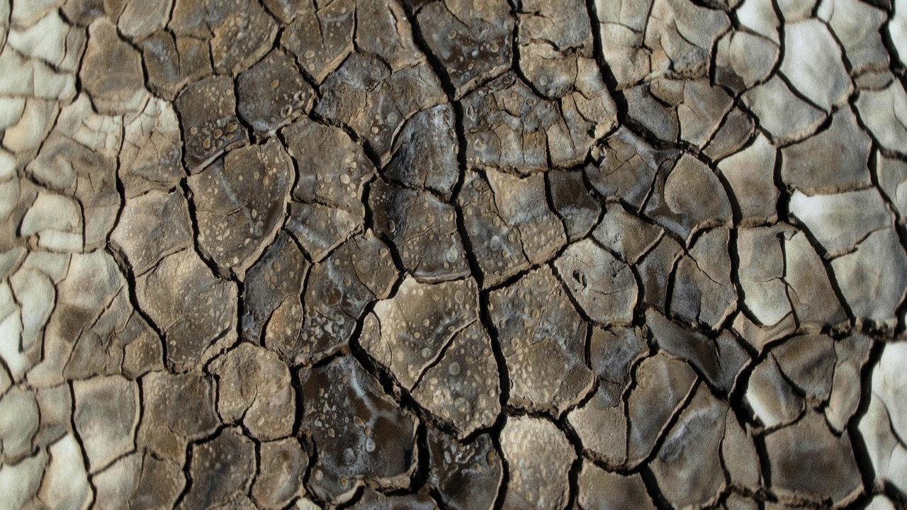 What Does the Mud Whisper? backdrop