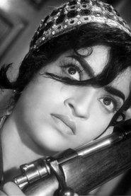 Sandhya Shantaram profile photo