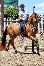 Luis Miguel Arranz profile photo