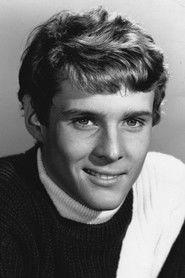 Jay North profile photo