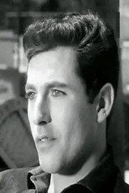 Amr El Torgoman profile photo