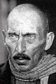 Ilia Mamporia profile photo