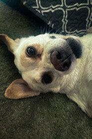Daisy profile photo