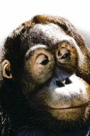 Manis profile photo