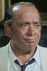 Umberto Spadaro profile photo