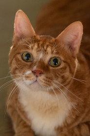 Geumdong-i profile photo