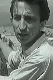 Tonin Konçi profile photo