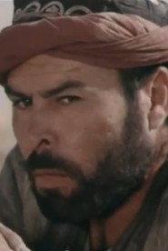 Nazrulla Saibov profile photo