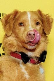 Indy profile photo