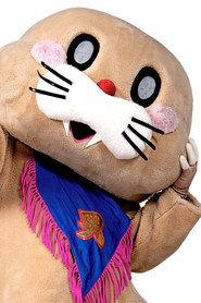 Pokotan profile photo