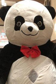Andreza Giant Panda profile photo