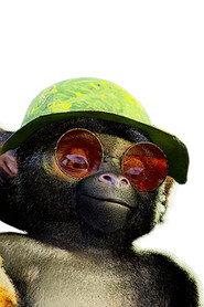 Kev profile photo