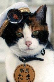Tama profile photo