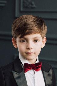 Martin Zolotarev profile photo
