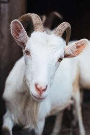 Patricia profile photo