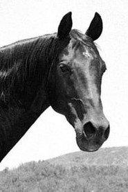 Highland Dale profile photo