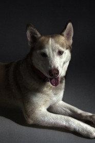 Raimi Mendigorin profile photo