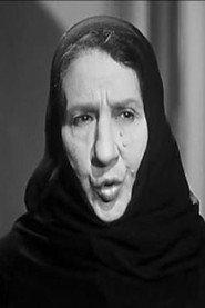 Gracia Kassin profile photo