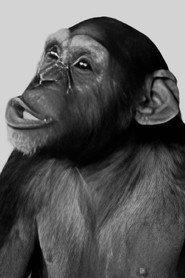 Tamba profile photo