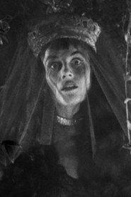 Jeannie Stevens profile photo