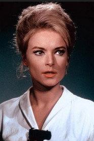 Lisa Halvorsen profile photo