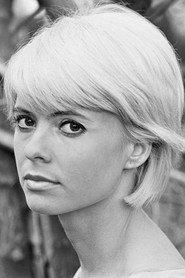 Kirsti Wallasvaara profile photo
