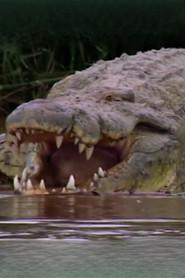 Gustave the Crocodile profile photo