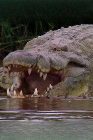 Gustave the Crocodile profile photo