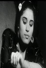 fatma ali profile photo