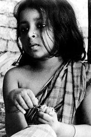 Runki Banerjee profile photo