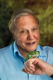 David Attenborough profile photo