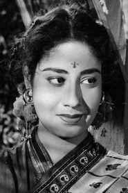 Chand Usmani profile photo