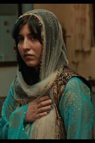 Fereshteh Seraj profile photo