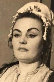Saša Selenić profile photo