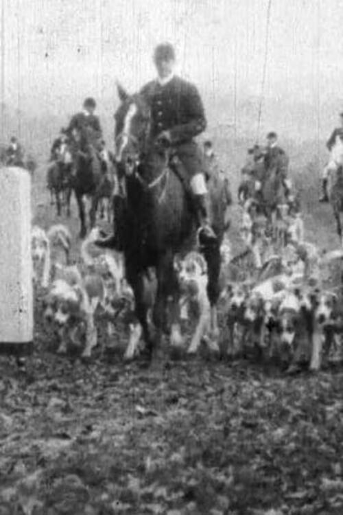 Fox Hunt backdrop
