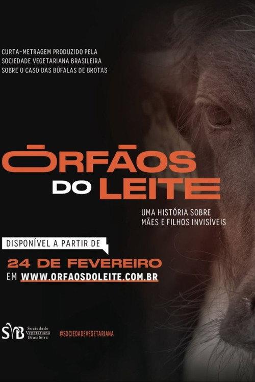 Órfãos do Leite: Uma história sobre mães e filhos invisíveis backdrop