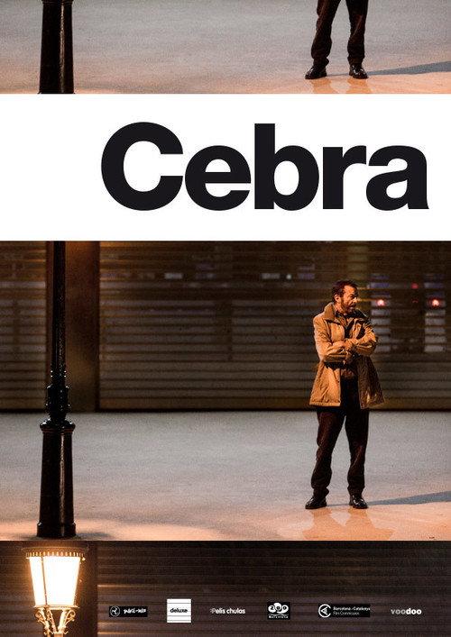 Cebra backdrop
