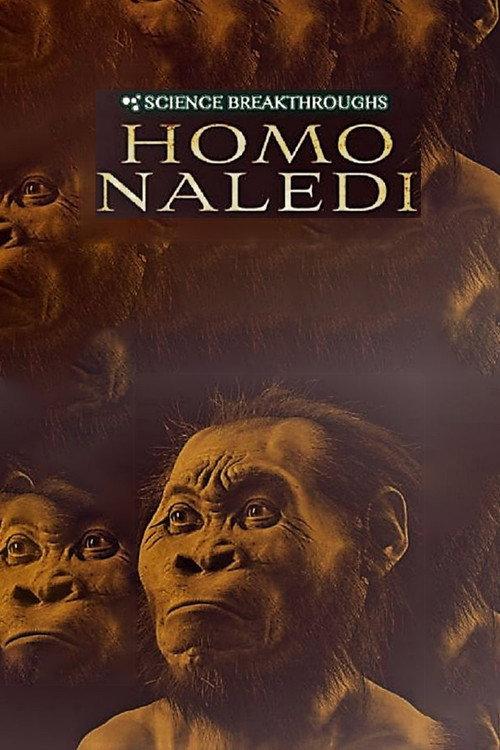 Science Breakthroughs: Homo Naledi backdrop
