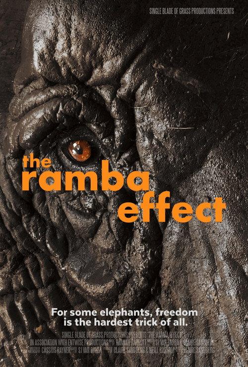The Ramba Effect backdrop