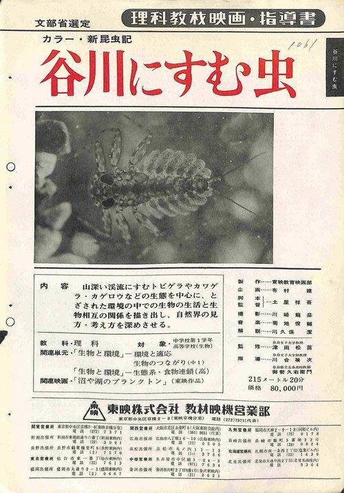 新昆虫記・谷川にすむ虫 backdrop